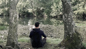 Bussaco Forest