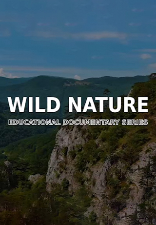Wild Nature S1