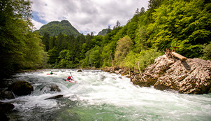 One for the River: The Sava Story