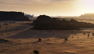 Deserts and Grasslands