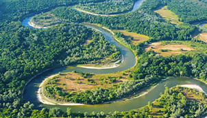 Rivers: Living Arteries