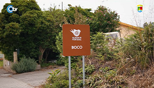 Boco