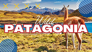 Wild Patagonia