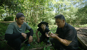 The Kanakanavu of Namaxia