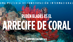 Rubén Blades is The Coral Reef
