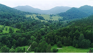 Bieszczady