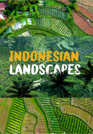 Indonesian Landscapes S1