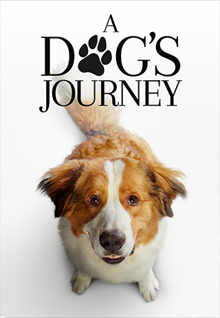 A Dog's Journey