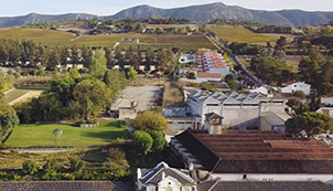 The oldest wine produced in Portugal