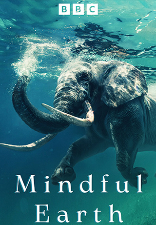 Mindful Earth S1