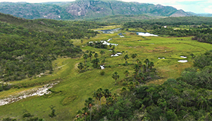 Parque Nacional das Sempre - Vivas