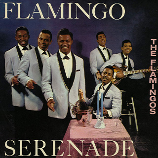 Flamingo Serenades / Flamingo Favorites