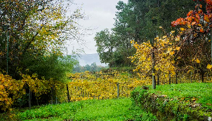 Monção e Melgaço