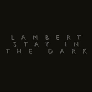 Stay In The Dark