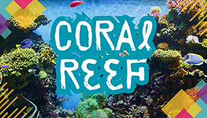 Coral Reef