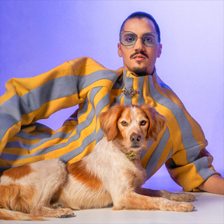 Vida de Cão