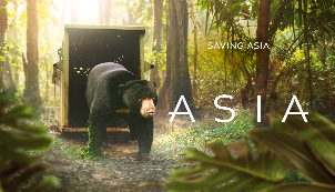 Saving Asia
