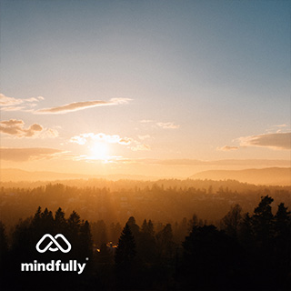 Meditations For Your Flight