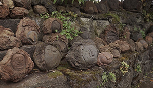 Fringe: Smiles of Stone