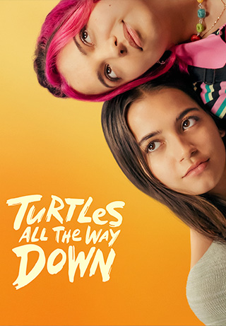 Turtles All the Way Down