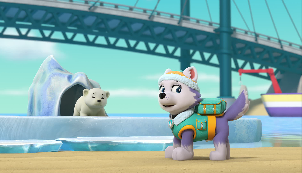 Pups Save a Windswept Polar Bear Cub/Pups Save a Drive-In