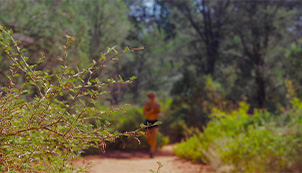 Arizona