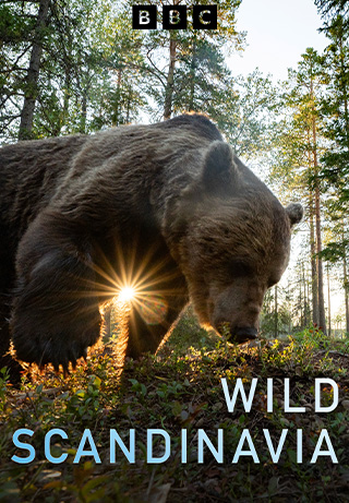 Wild Scandinavia S1