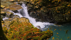 Waterfalls: Beauty and Power