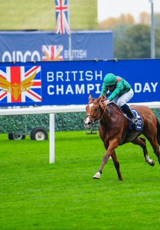 British Champion Stakes S1