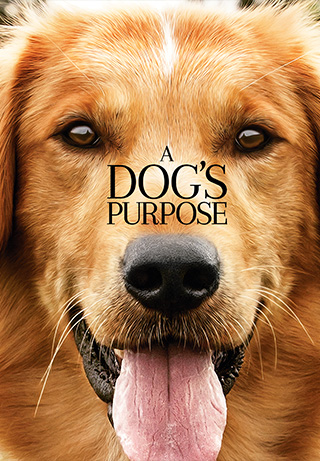 A Dog's Purpose