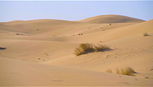 Deserts: the Fantastic Journey