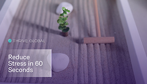 Be more Zen Garden
