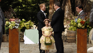 The Wedding (1)