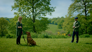 The Shaping Behaviours