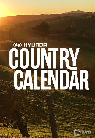 Hyundai Country Calendar S2023