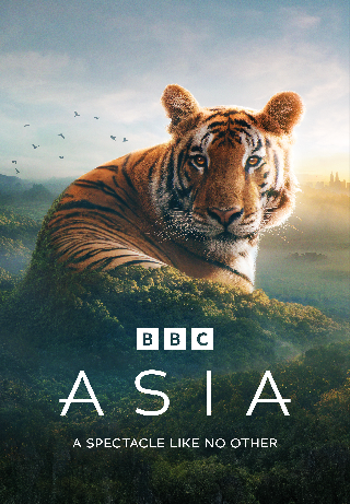 Asia S1