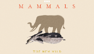The New Wild
