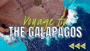 Voyage to the Galapagos