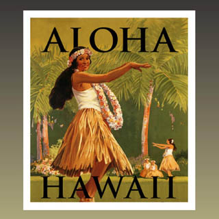 Aloha Hawaii - Hawaiian Guitar