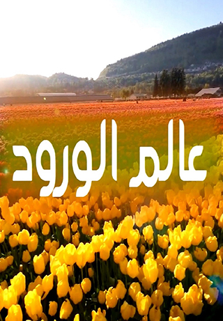 The World of Flowers S1