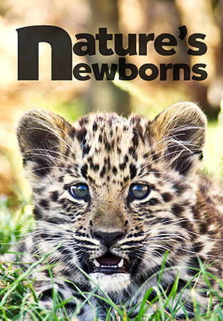 Nature's Newborns S1