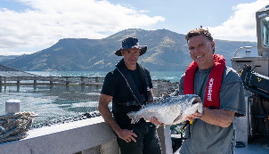 Akaroa Salmon