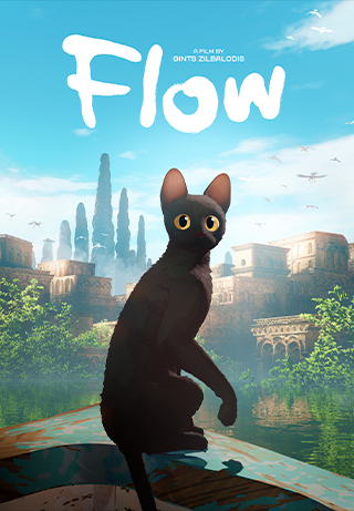 Flow Image