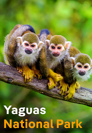 The Great Outdoors: Our National Parks S1