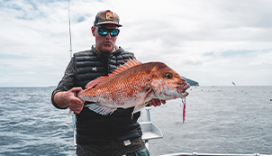 Hauraki Gulf Work-Up Fishing – Nature’s Greatest Show