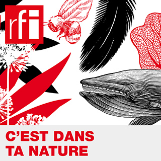 C'est dans ta nature