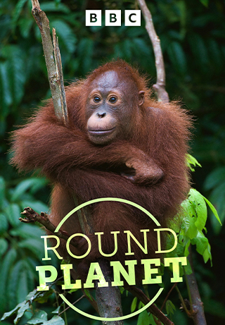 Round Planet S1