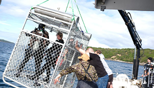 Great White Fight Club